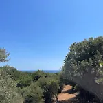 Луксозна вила Platan Paradise Марониа