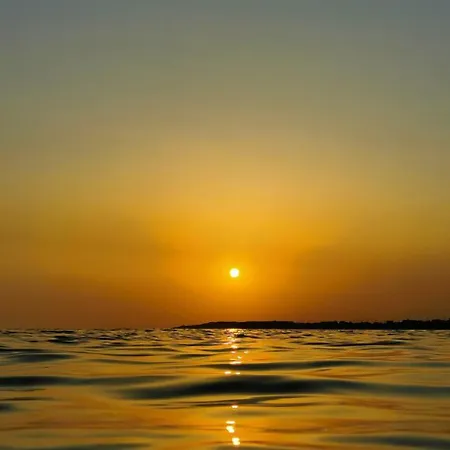 Platan Paradise *