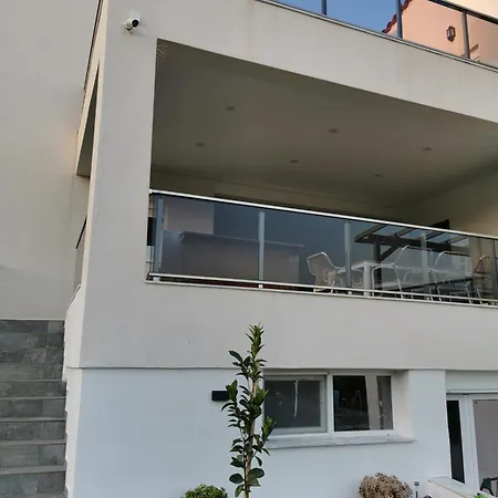 Platan Paradise Marónia