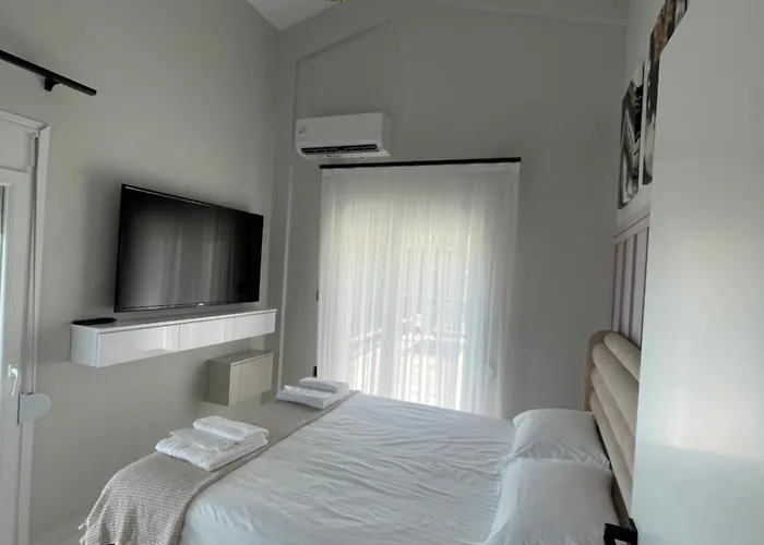 Platan Paradise Marónia