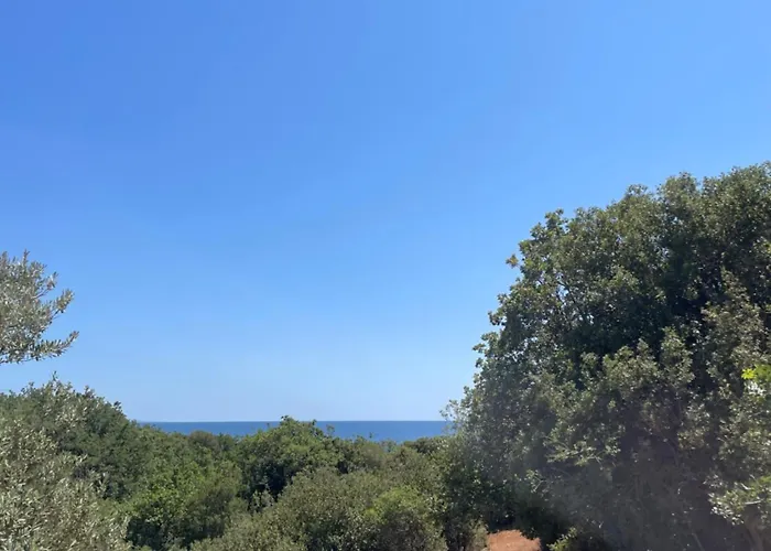 Луксозна вила Platan Paradise Марониа